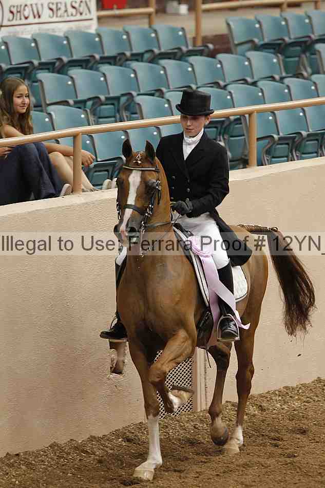 Proof 12yn_02067