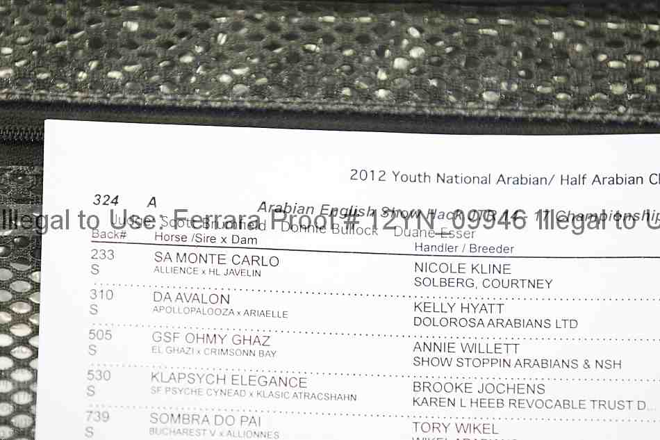 Proof 12yn_09946