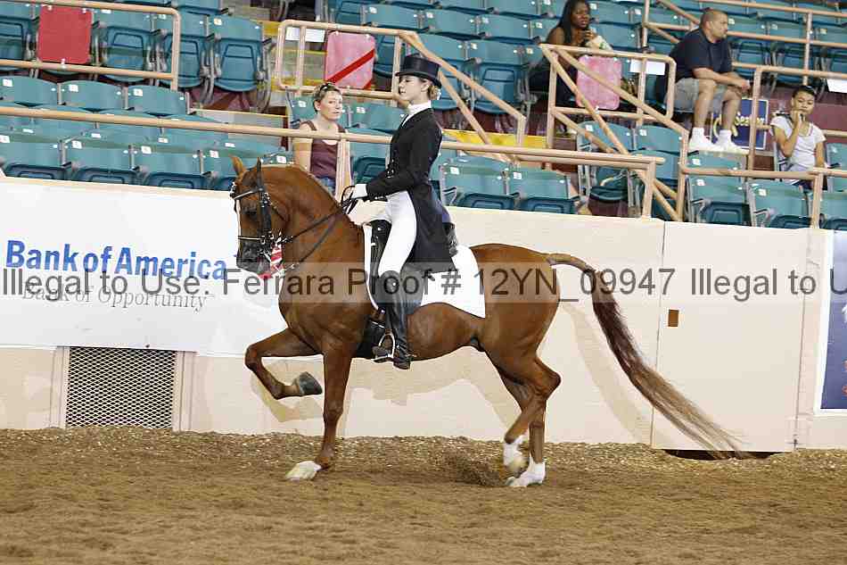 Proof 12yn_09947