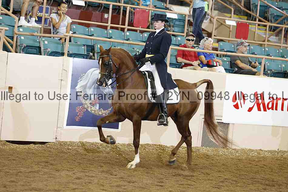 Proof 12yn_09948
