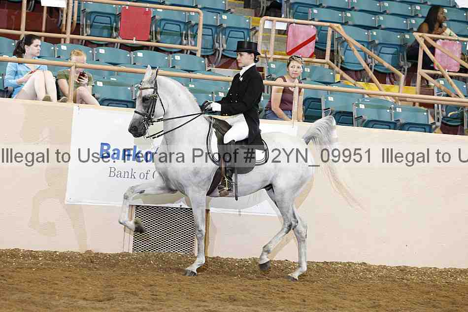 Proof 12yn_09951