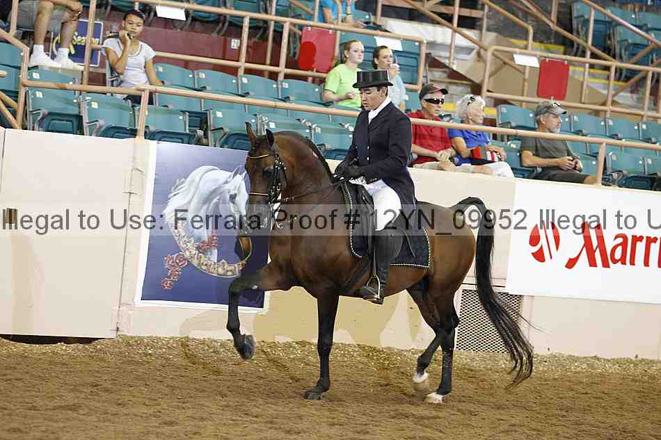 Proof 12yn_09952