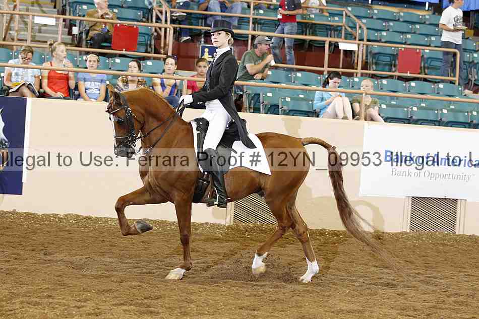 Proof 12yn_09953