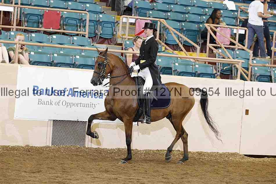 Proof 12yn_09954