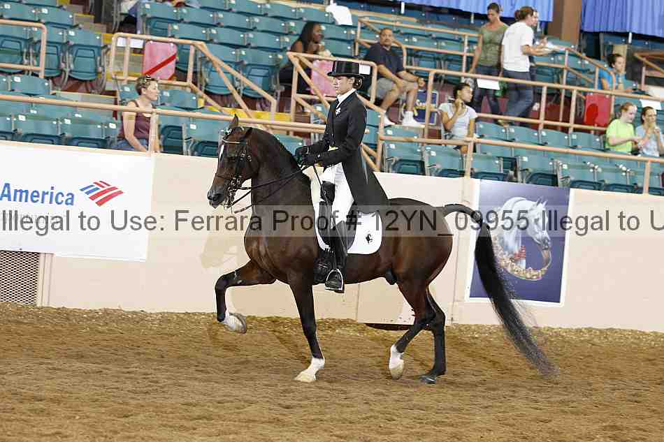 Proof 12yn_09955