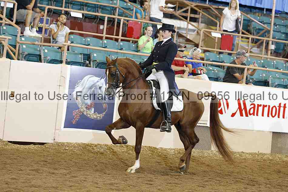 Proof 12yn_09956