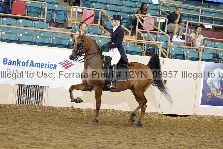 Proof 12yn_09957