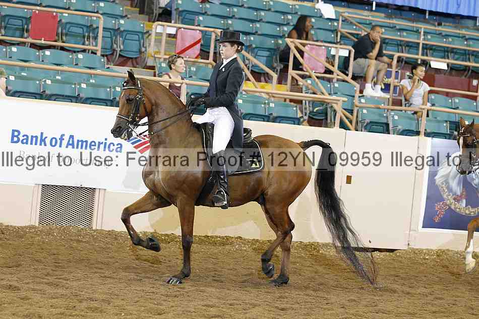 Proof 12yn_09959
