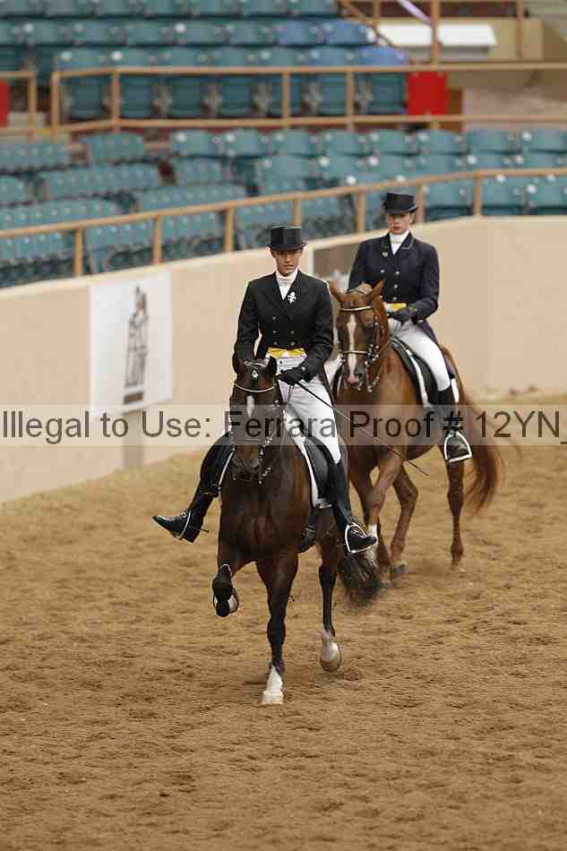 Proof 12yn_09961
