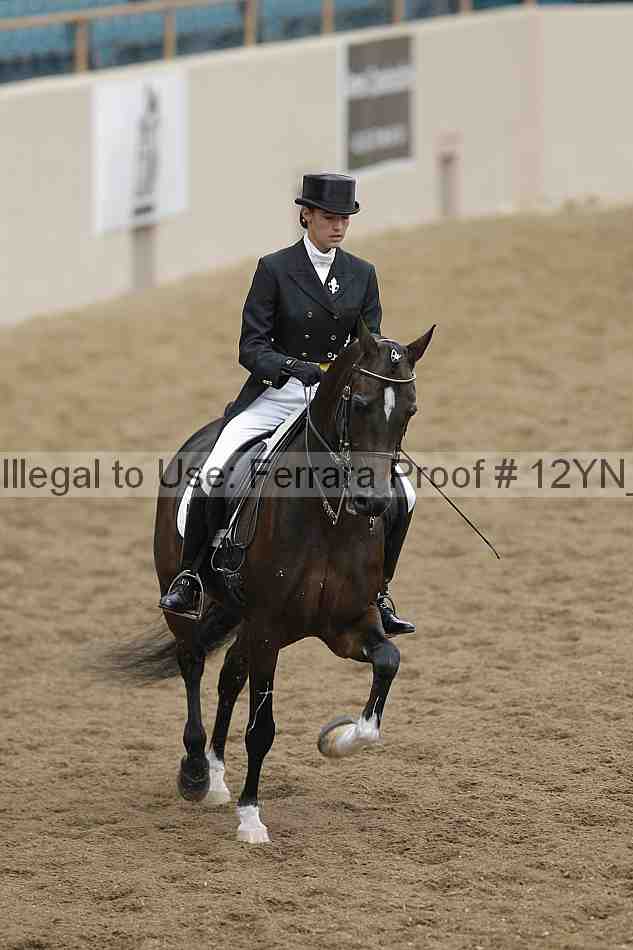 Proof 12yn_09963