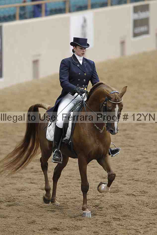 Proof 12yn_09964