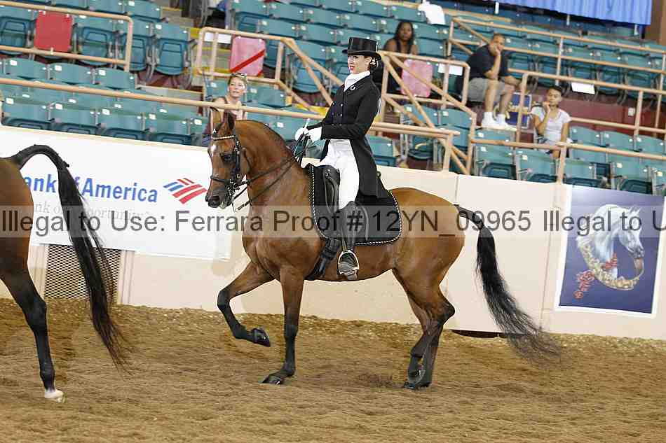 Proof 12yn_09965