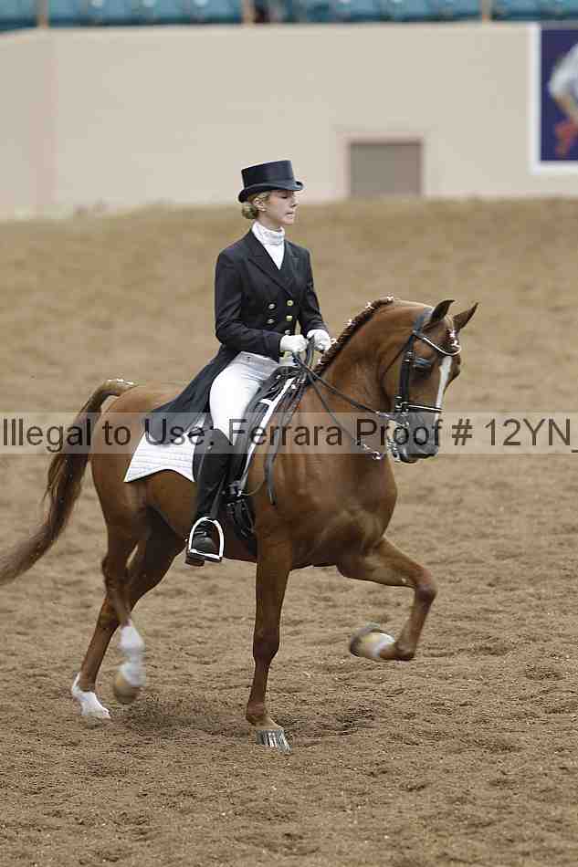 Proof 12yn_09969