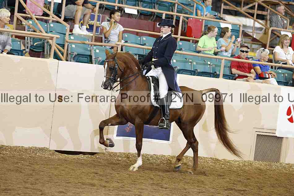 Proof 12yn_09971