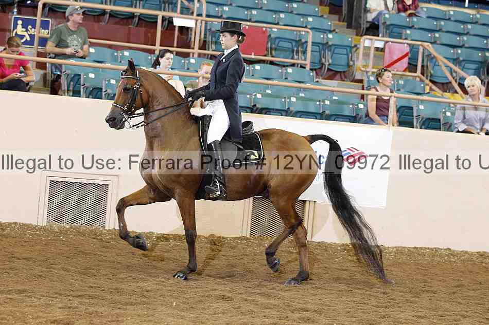 Proof 12yn_09972