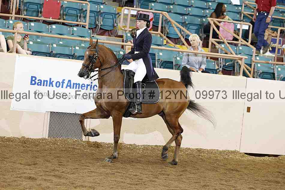 Proof 12yn_09973