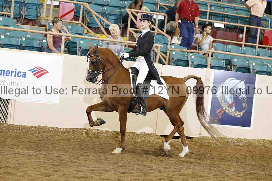 Proof 12yn_09976