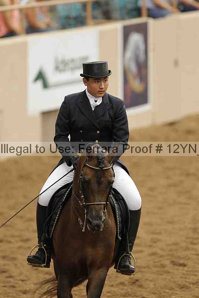 Proof 12yn_09981