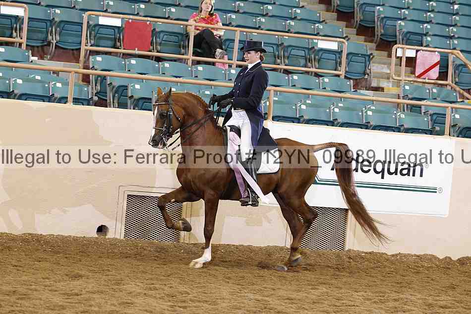 Proof 12yn_09989