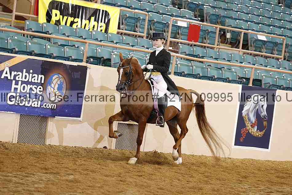 Proof 12yn_09995