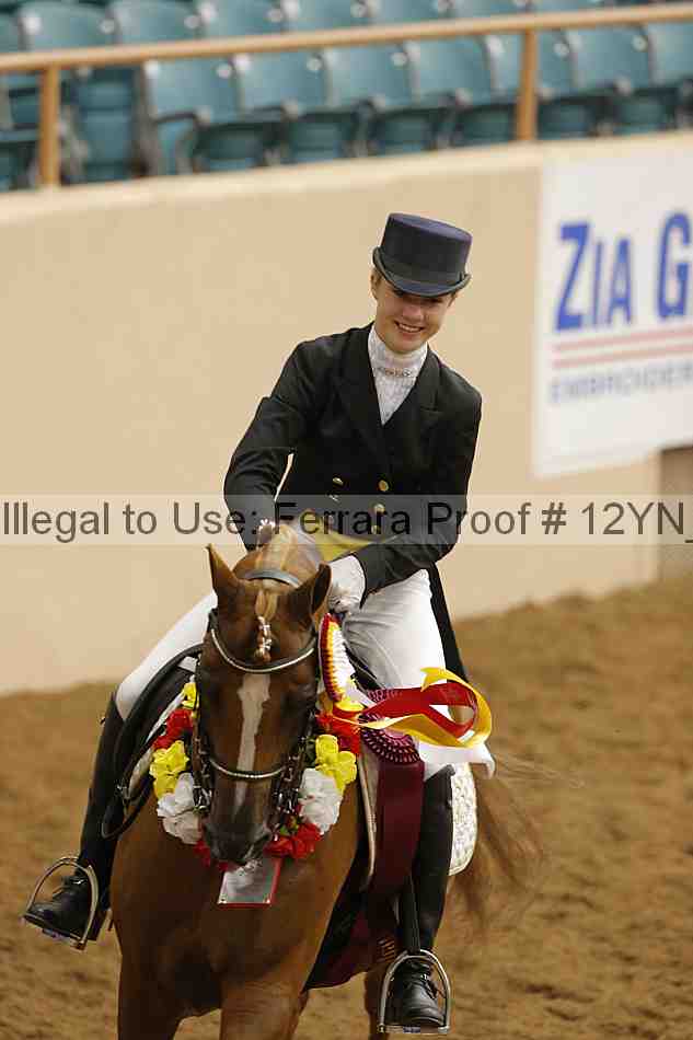 Proof 12yn_26464