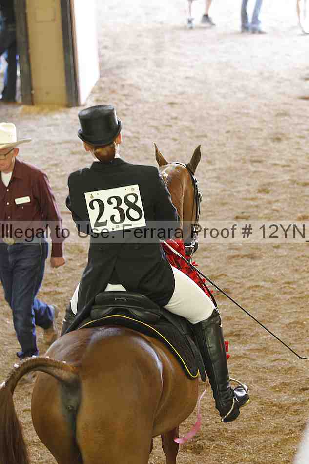 Proof 12yn_26473