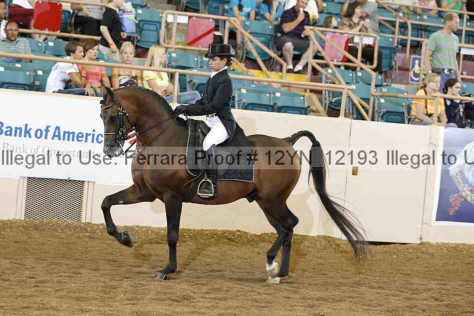 Proof 12yn_12193