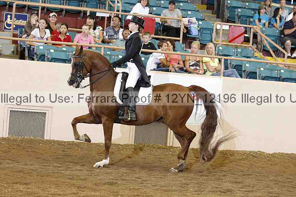 Proof 12yn_12196