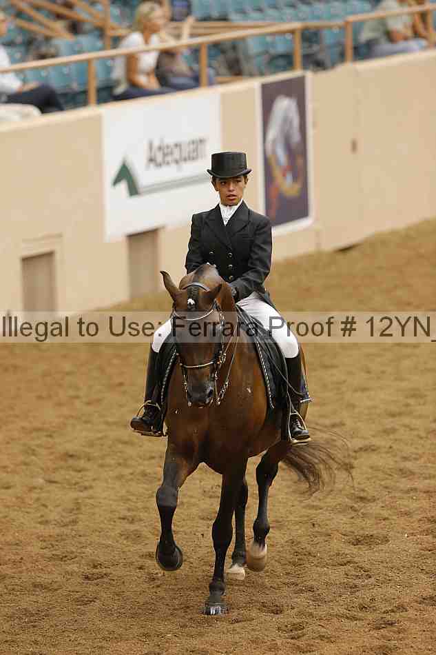 Proof 12yn_12207