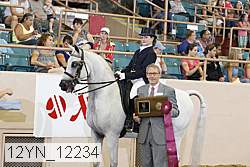 12yn_12234 proof
