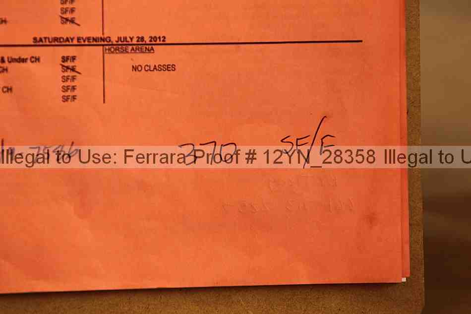 Proof 12yn_28358