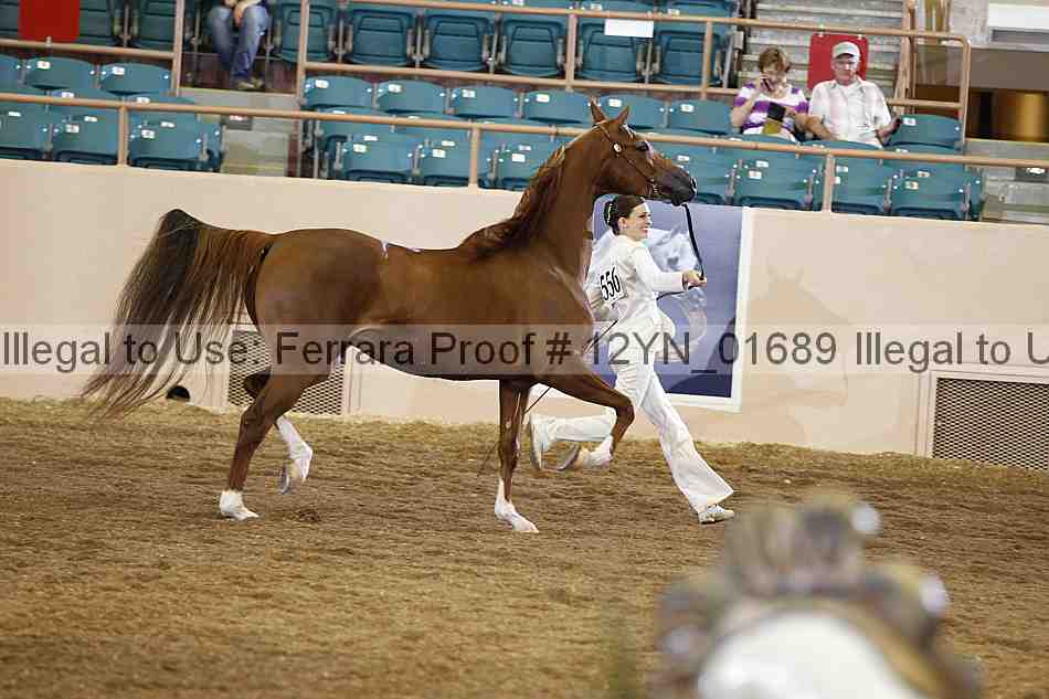 Proof 12yn_01689