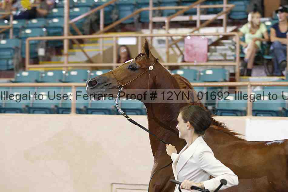 Proof 12yn_01692