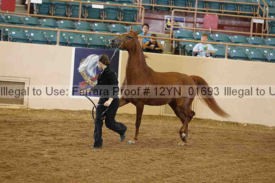 Proof 12yn_01693
