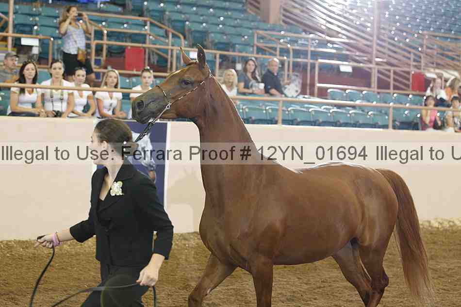 Proof 12yn_01694