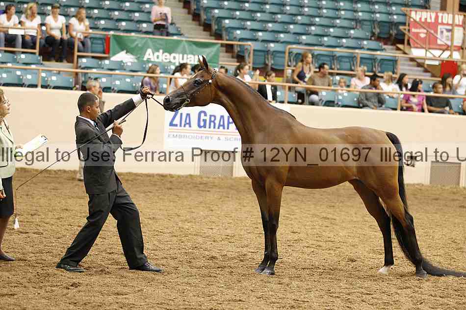 Proof 12yn_01697