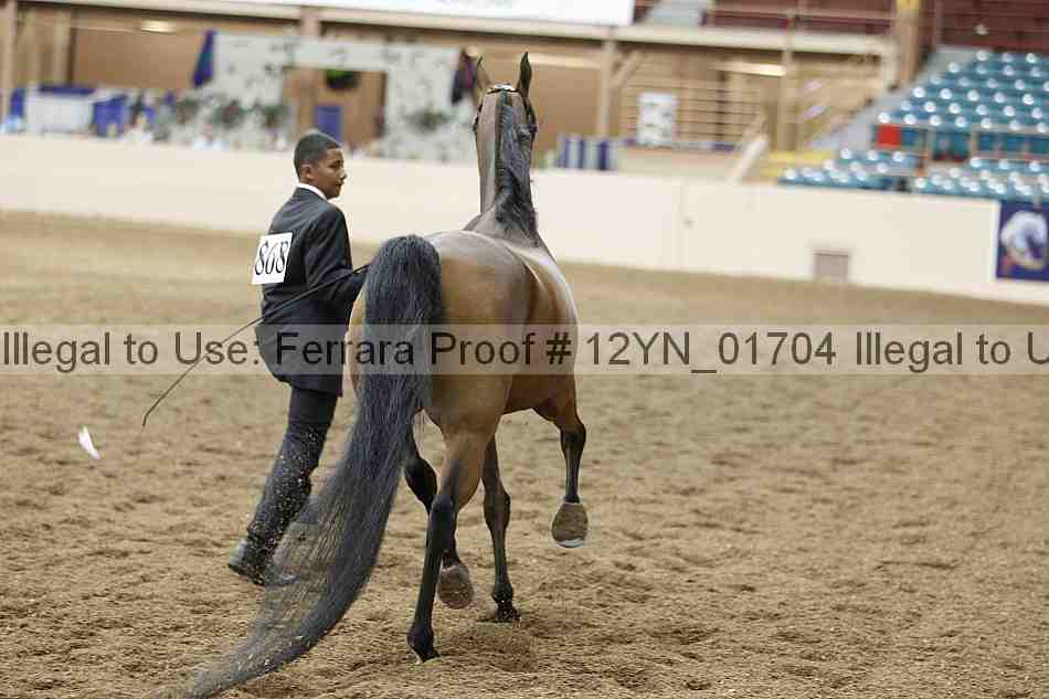 Proof 12yn_01704