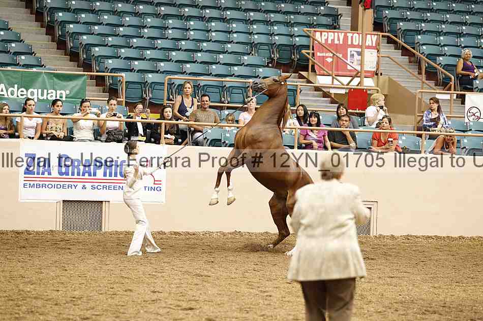 Proof 12yn_01705