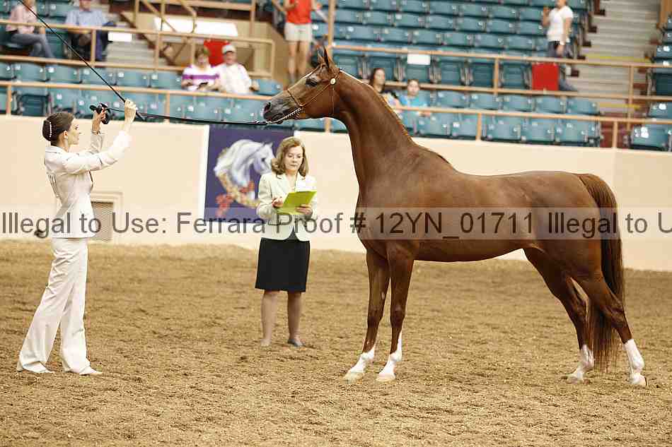 Proof 12yn_01711