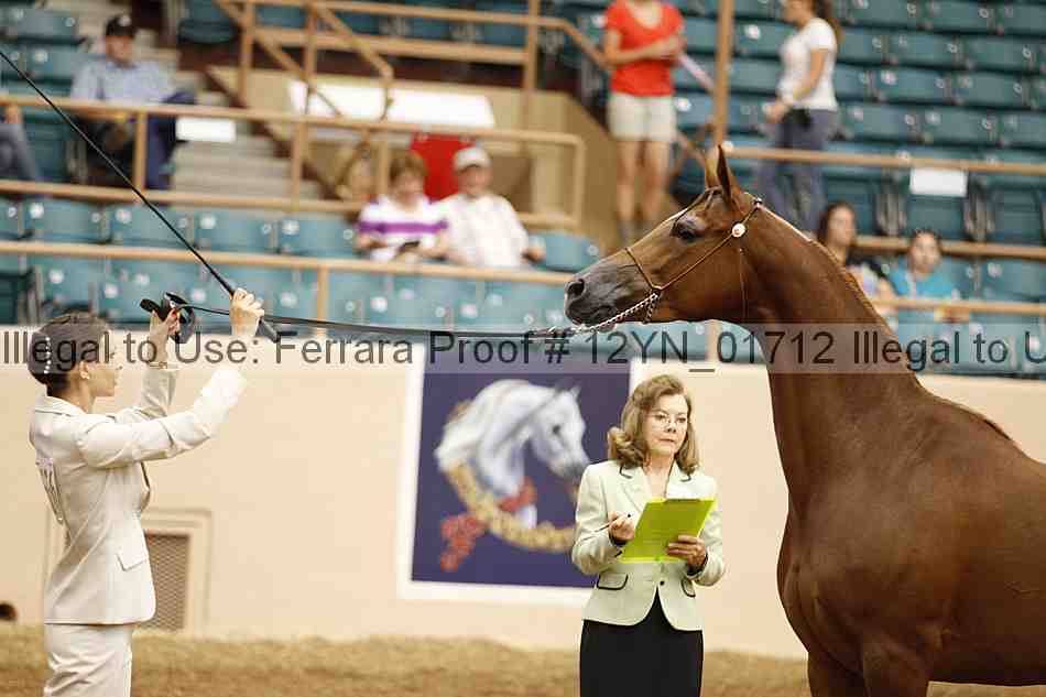 Proof 12yn_01712
