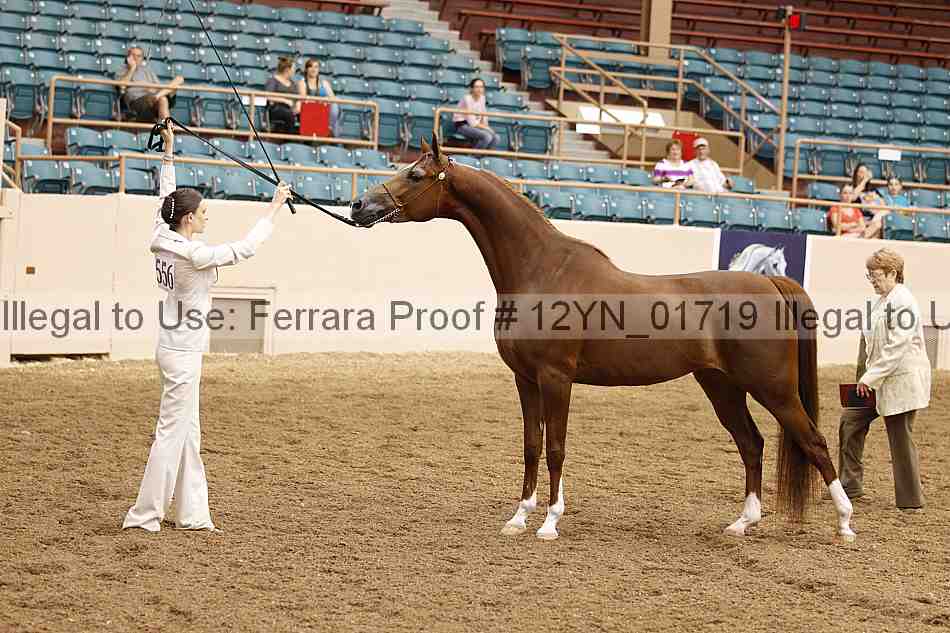 Proof 12yn_01719