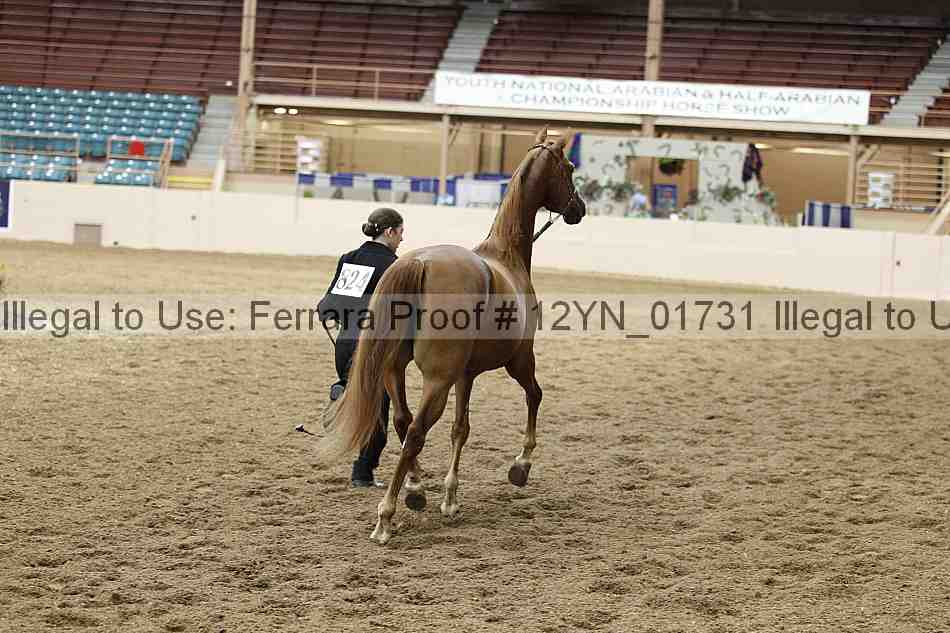Proof 12yn_01731
