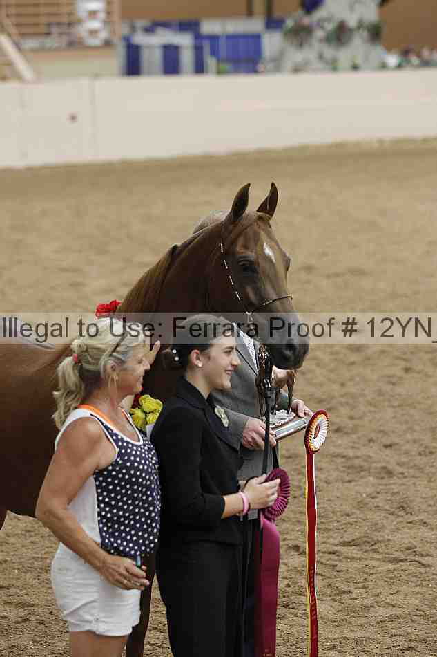 Proof 12yn_01746