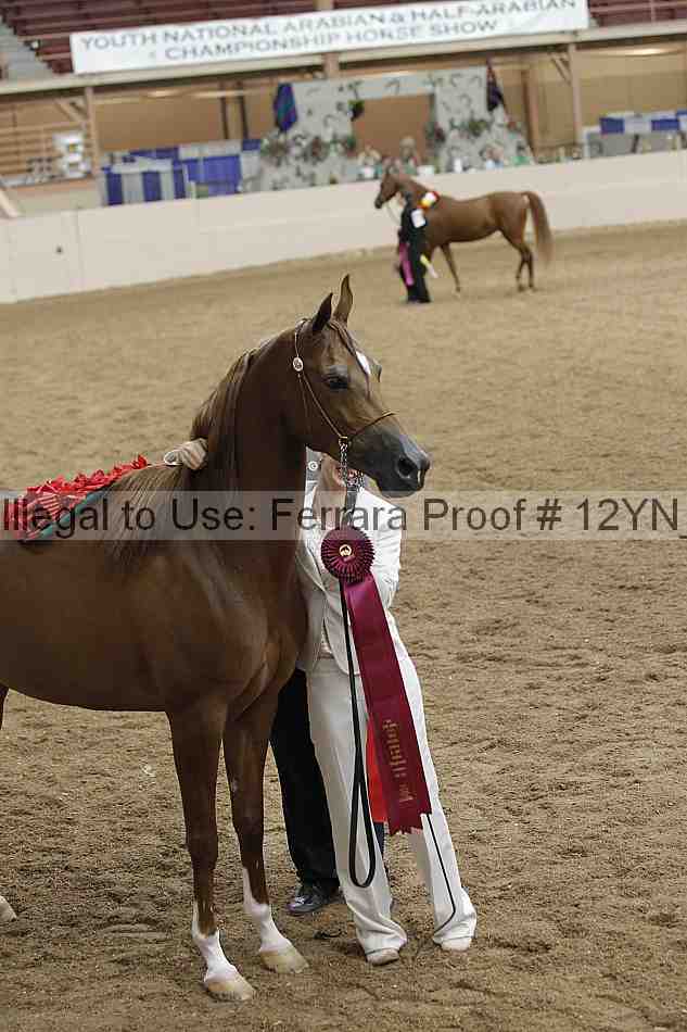 Proof 12yn_01763