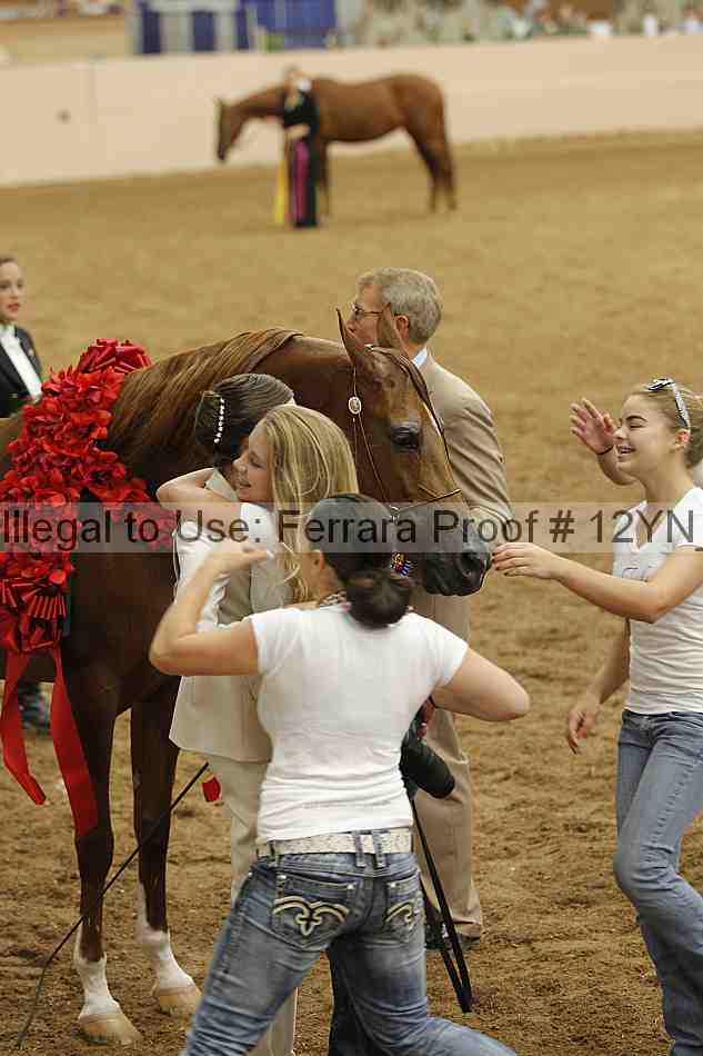 Proof 12yn_01766