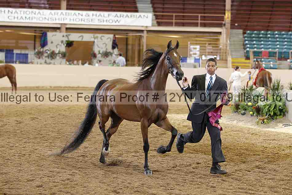 Proof 12yn_01779