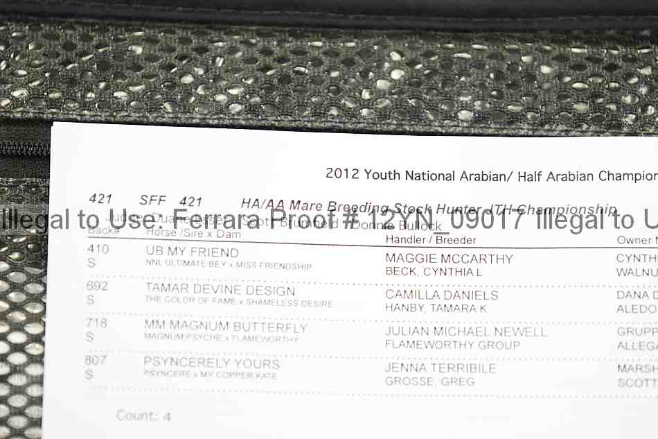 Proof 12yn_09017