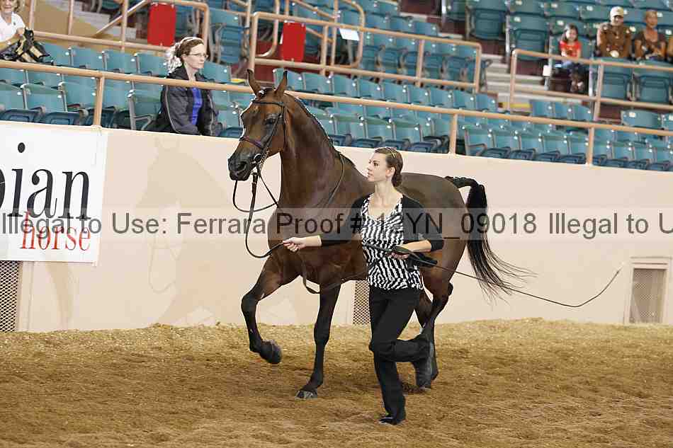Proof 12yn_09018