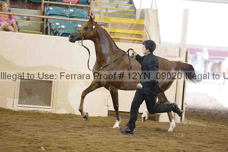 Proof 12yn_09020