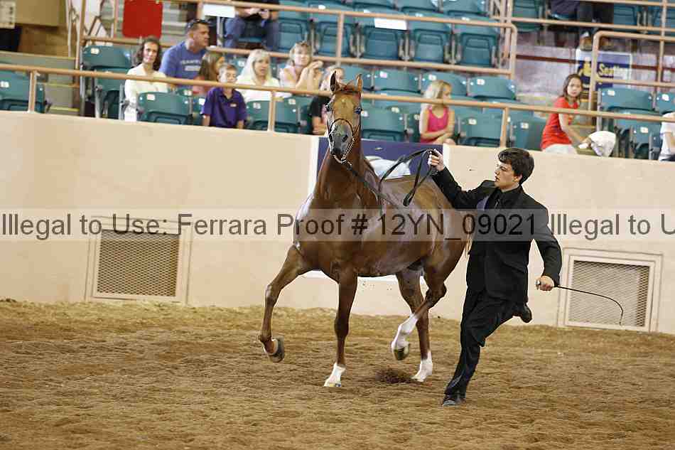 Proof 12yn_09021